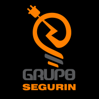 Grupo Segurin